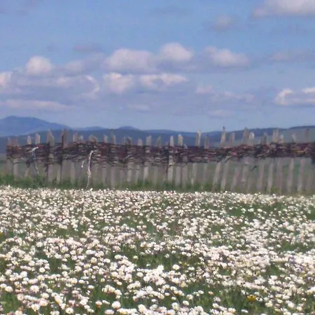 Apartmán Zlatiborski Visovi *