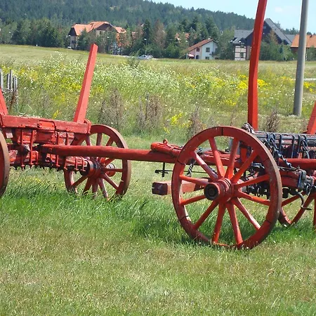 Zlatiborski Visovi *