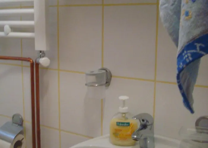 Zlatiborski Visovi 아파트 *