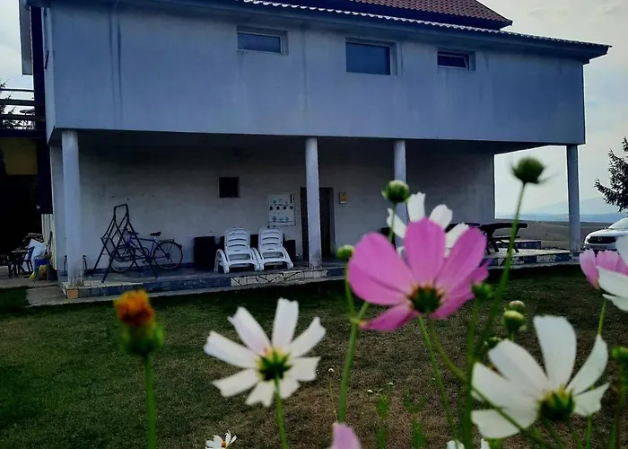 Zlatiborski Visovi *