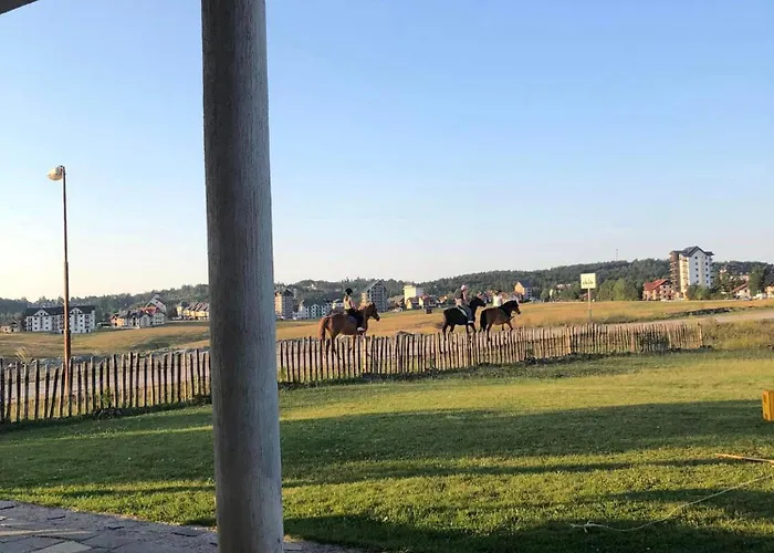 Zlatiborski Visovi * 즐라티보