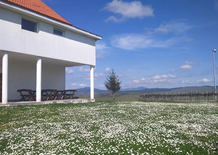 아파트 Zlatiborski Visovi 즐라티보