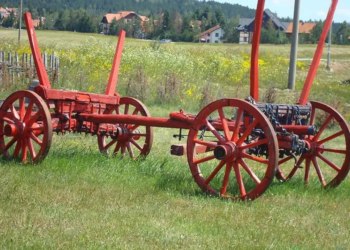 Zlatiborski Visovi *