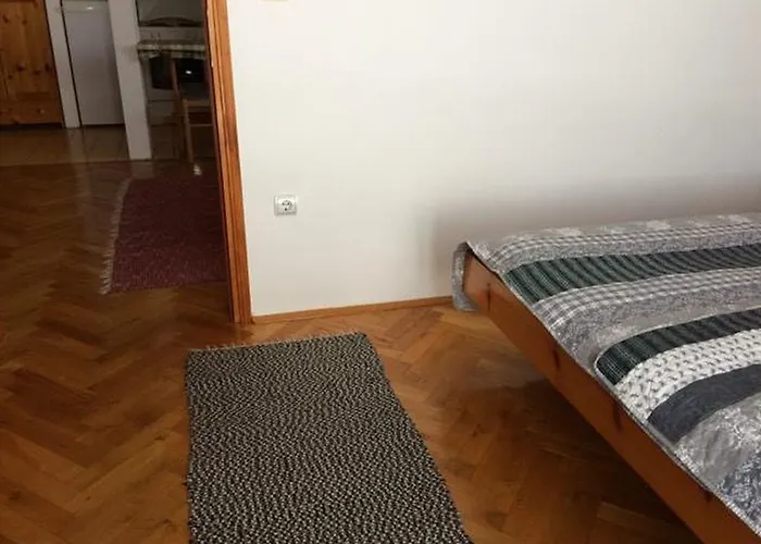 Zlatiborski Visovi 아파트 *